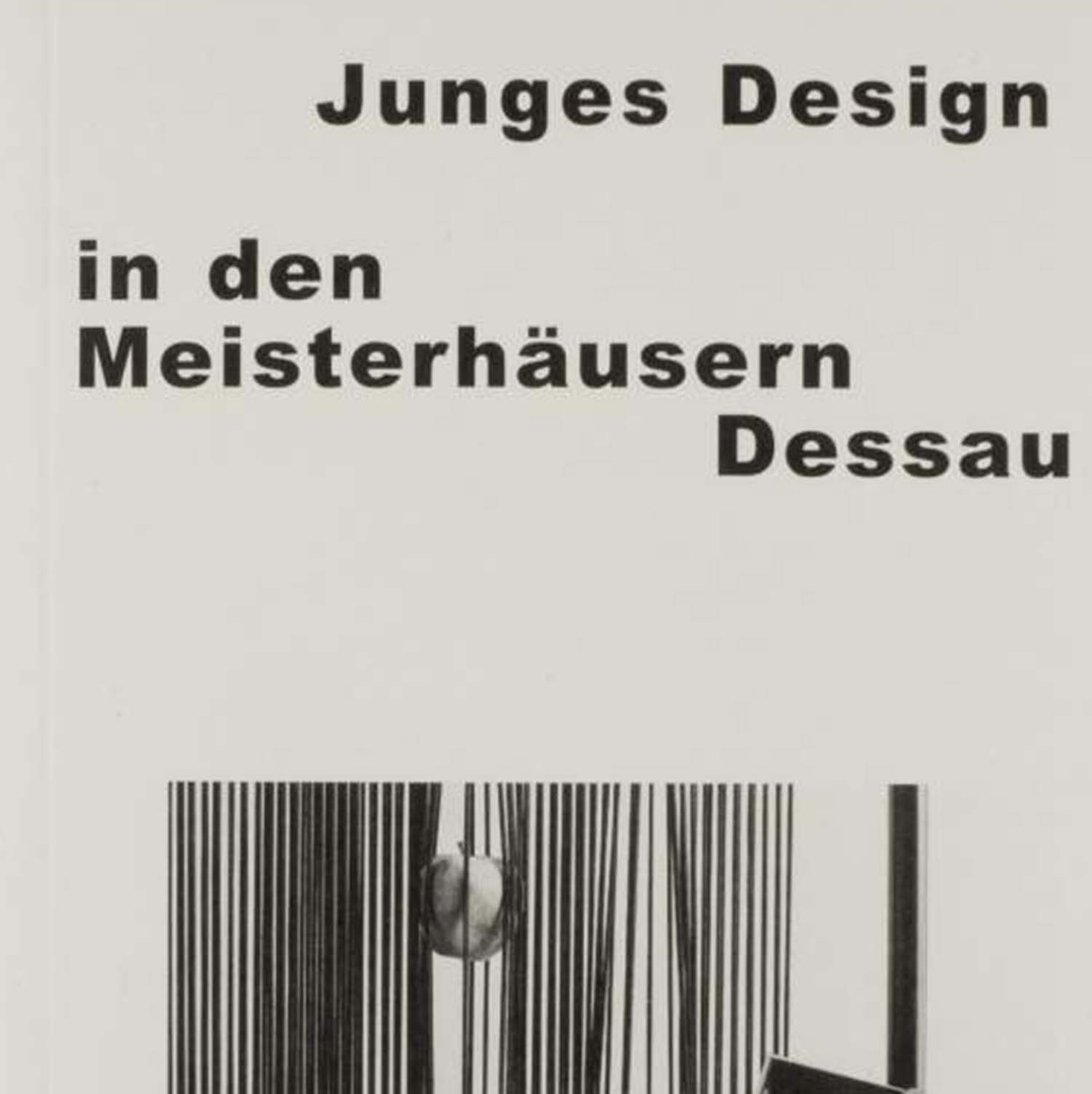 Dessau Masters' Evlerinde genç tasarım resmi